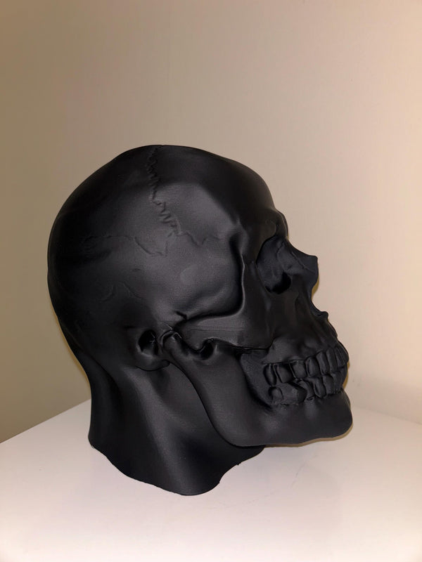 Skull Head - Headphone Holder - 3D printed - Model - 3D Print - Display Piece - Hand Painted