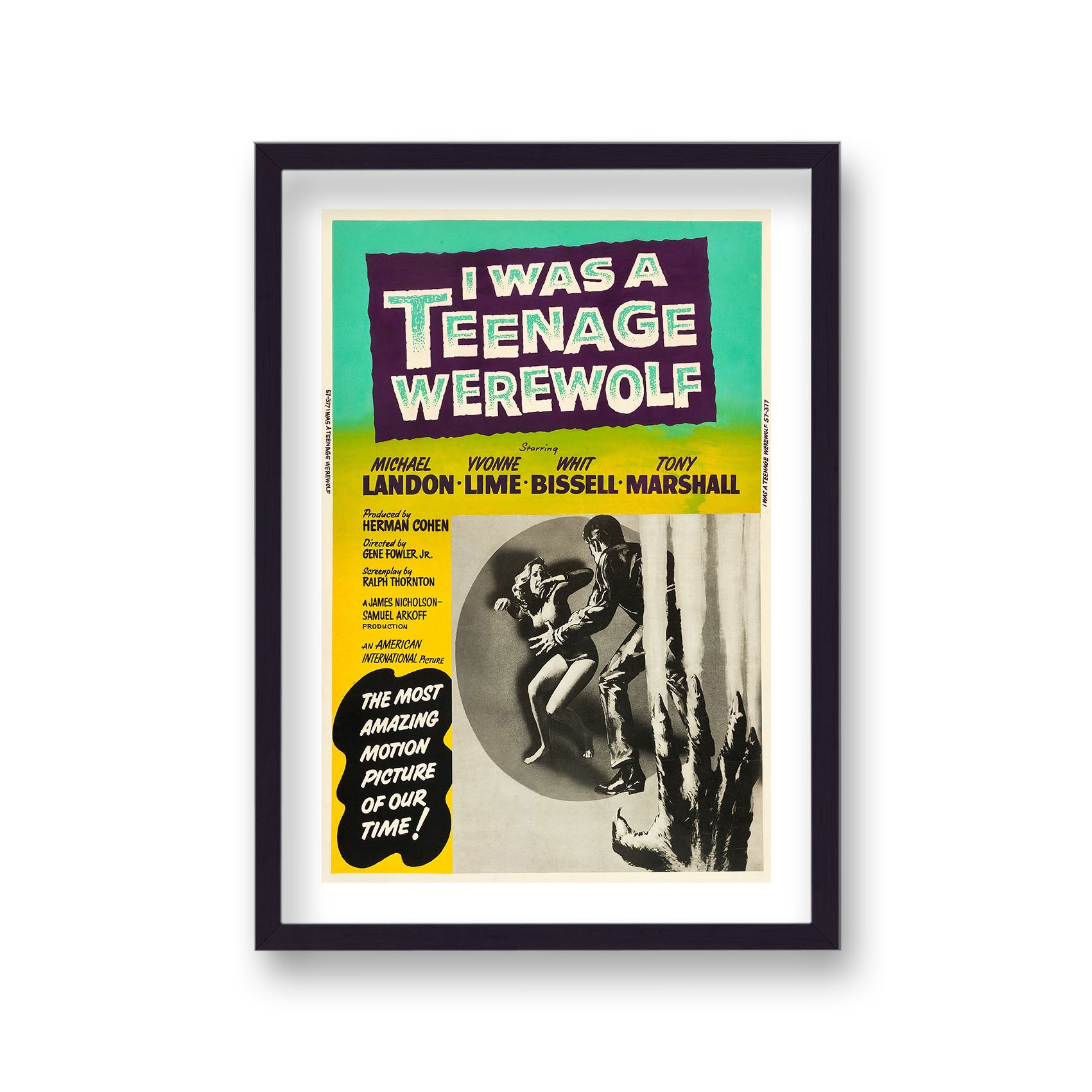 I Was A Teenage Werewolf Vintage Movie Poster