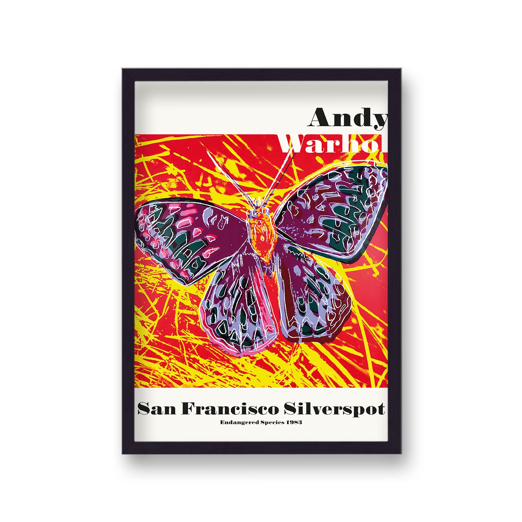 Andy Warhol Endangered San Francisco Silverspot Art Poster