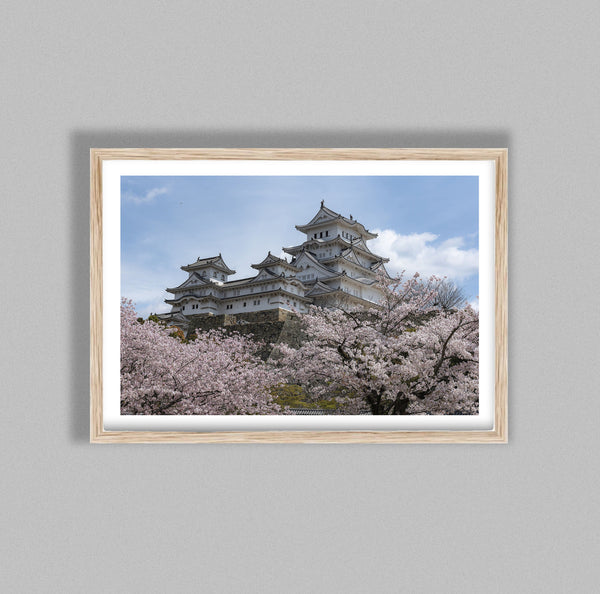 Traditional Japanese Building