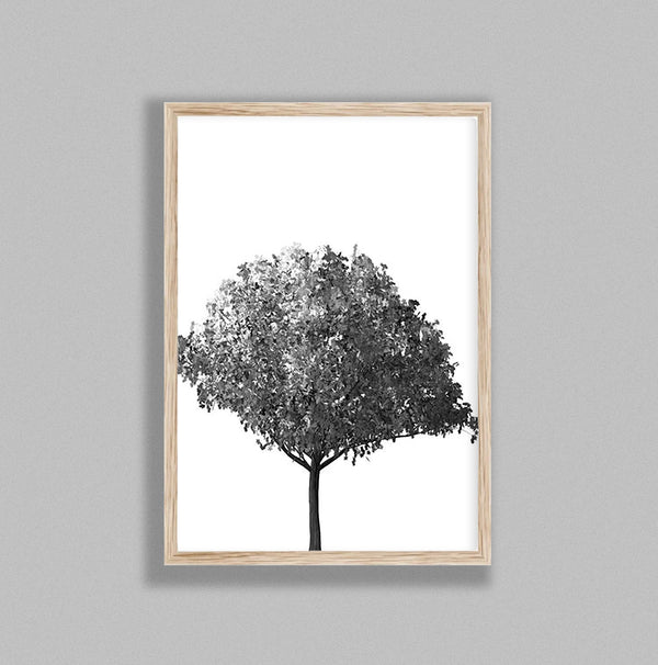 Bushy Tree On White Background