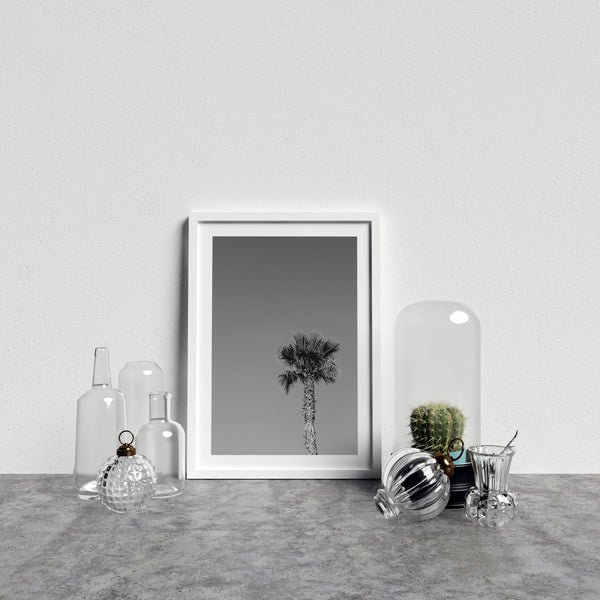 Single Tropical Palm