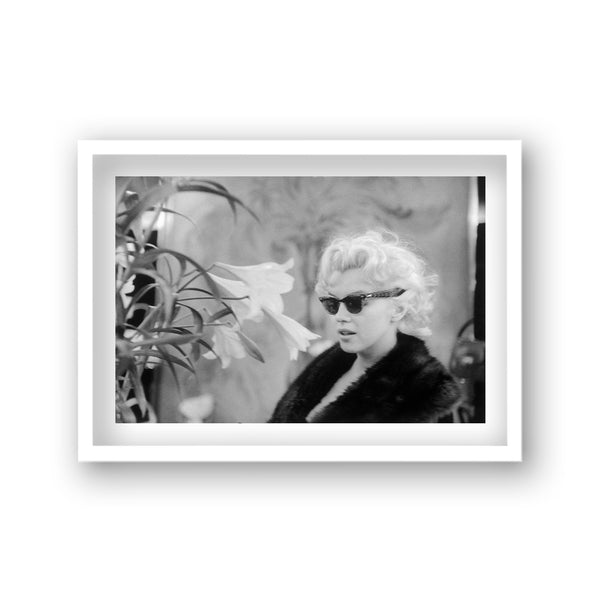 Marilyn Wearing Black Fur Coat & Wayfarer Style Sunglasses With White Lilies In Foreground Vintage Icon Print