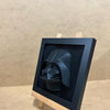 Darth Vader - Layered - Star Wars - 3D printed - Model - 3D Print - Hand Painted - Framed - Display
