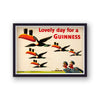 Guinness Lovely Day For A Guinness Toucans Flying Formation