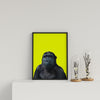 Young Gorilla On Yellow Background