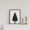 Pointed Tree On White Background