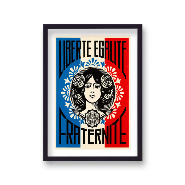 Pop Art Print Liberte Egalite Fraternite