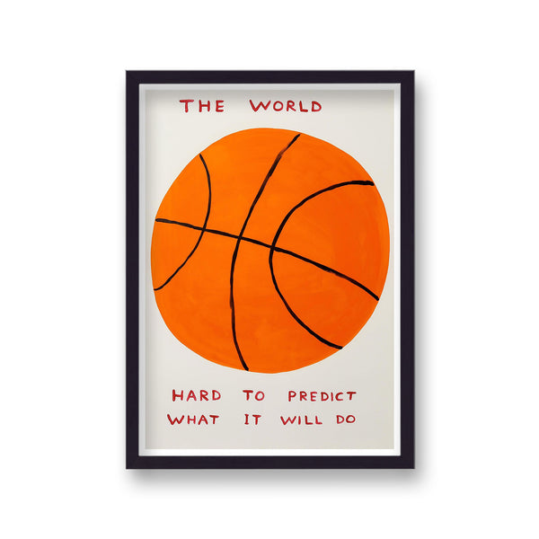 Shrigley The World Hard To Predict
