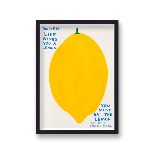 Shrigley When Life Gives You A Lemon