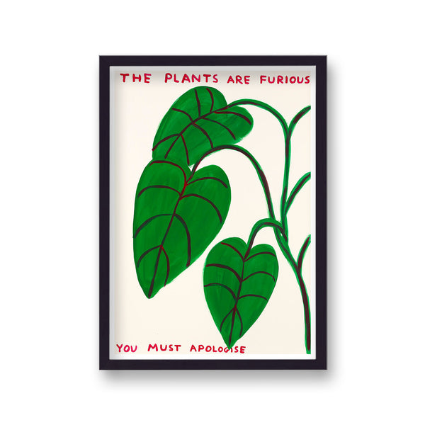 Shrigley The Plants Are Furious