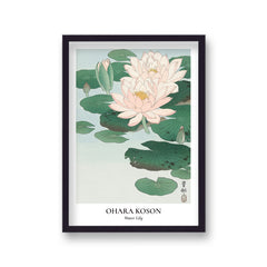 Ohara Koson Water Lily 2 Botanical Art Print