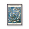 Vincent Van Gough Almond Blossom Botanical Art Print
