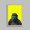 Young Gorilla On Yellow Background