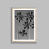 Tropical Palms
