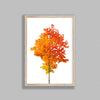 Vibrant Orange Tree On White Background