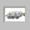 Cherry Blosson On White Backgound A
