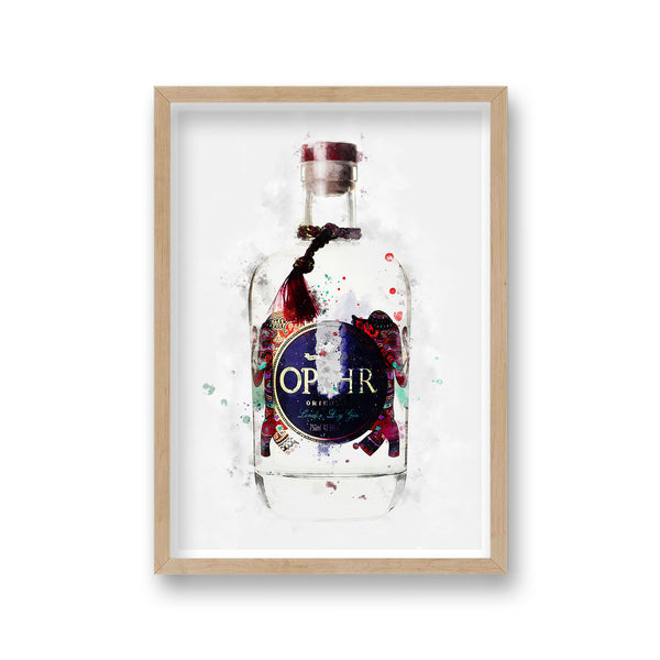 Gin Graphic Splash Print Ophir Inspired