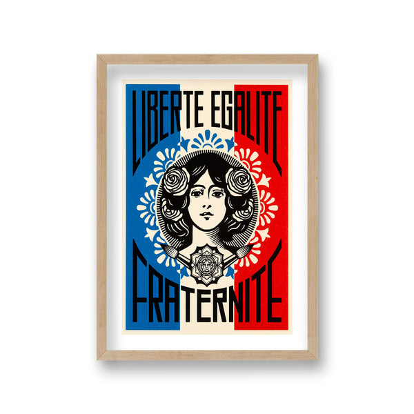 Pop Art Print Liberte Egalite Fraternite