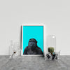 Young Gorilla On Blue Background