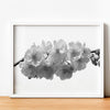 Cherry Blosson On White Backgound A