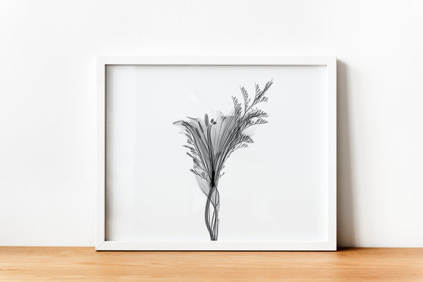 Delicate Flower Aquarelle Xray C