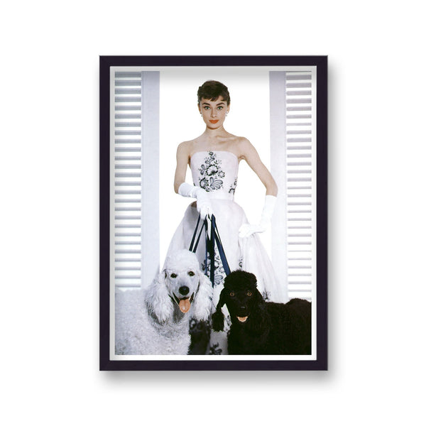 Audrey Hepburn Publicity Shot Sabrina 2
