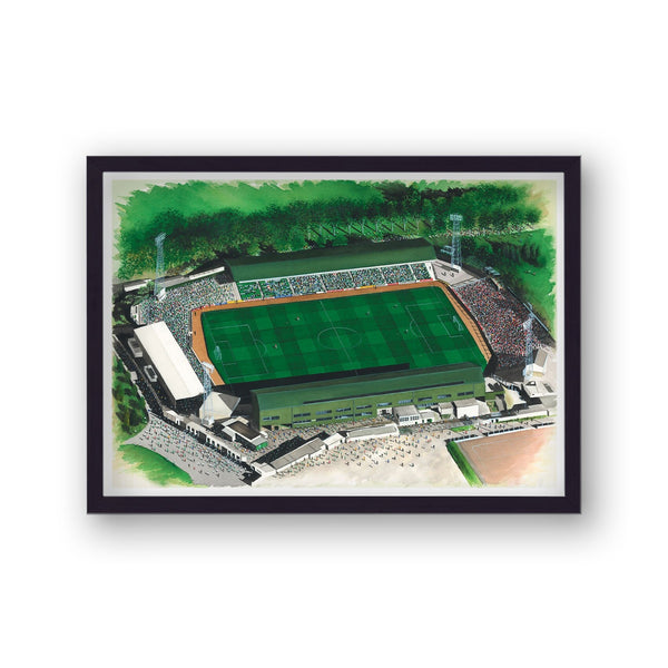 Plymouth Argyle Fc - Home Park - Football Stadium Art - Vintage