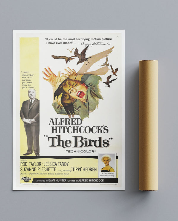 Vintage Movie The Birds No1
