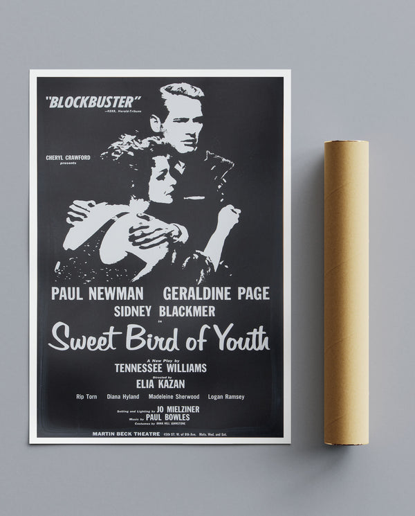 Vintage Movie Print Sweet Bird Of Youth Paul Newman